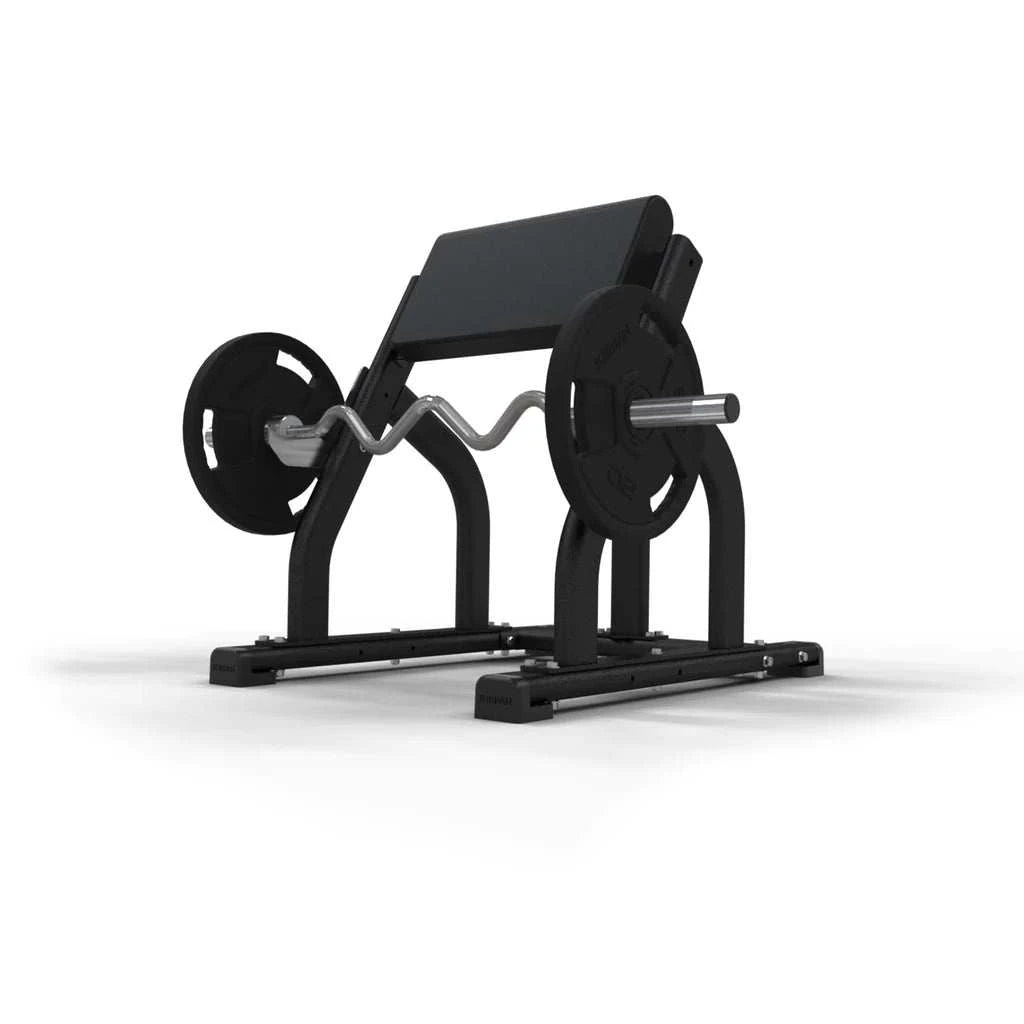 JORDAN Seated Preacher Curl Bench - Revamped Living